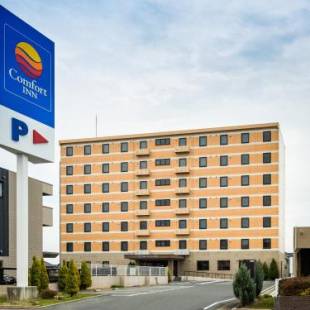 Фотографии гостиницы
Comfort Inn Ogaki