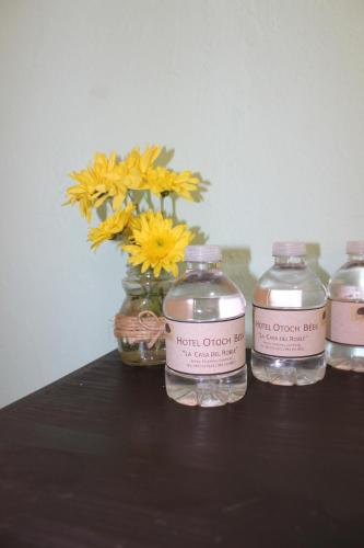 Фотография мини отеля Otoch Béek