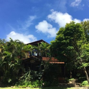 Фотография мини отеля Pousada Villabella Villaggio