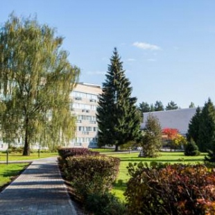 Фотография гостиницы Оздоровительный комплекс Десна