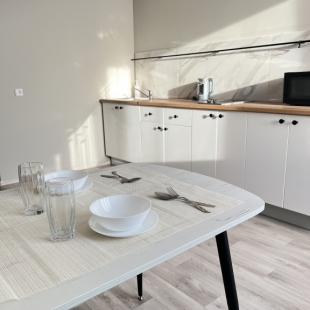 Фотография квартиры Квартира в Центре Ломоносова 167