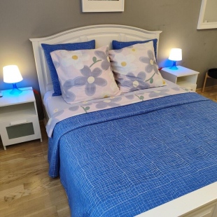 Фотография квартиры AlexHome (АлексХоум) на Новокуркинском шоссе