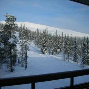 Фотографии гостевого дома 
            Holiday Home Ylläs chalet iii- 3508