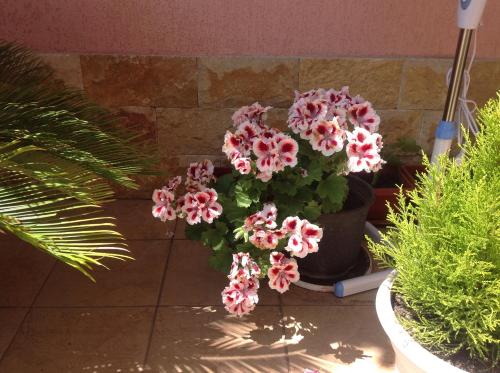 Фотографии гостевого дома
Старт