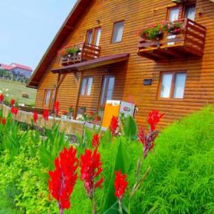 Фотографии гостевого дома 
            Casa Altius Felix