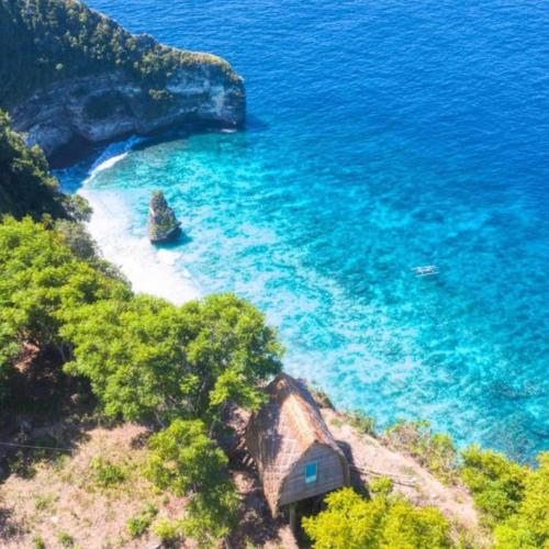 Фотография базы отдыха Eco-tourist Dreamstay Tree House