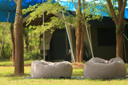 Фотография кемпинга Big Game - Udawalawe by Eco Team