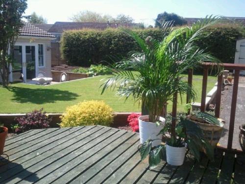 Фотография мини отеля Premier Room