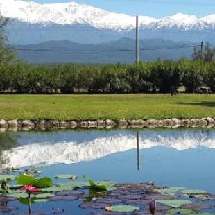 Фотография гостиницы Posada del Olivo