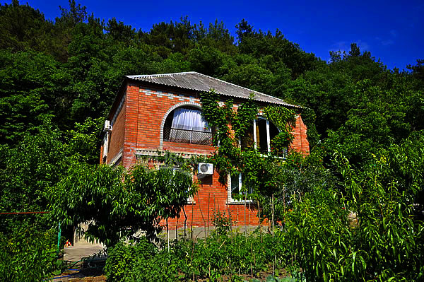 Фотография гостиницы Лесной дом