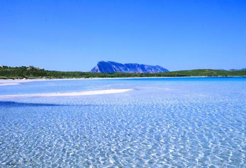 Фотография гостевого дома MONO-MARY: just 600m from the SEA with private beach!