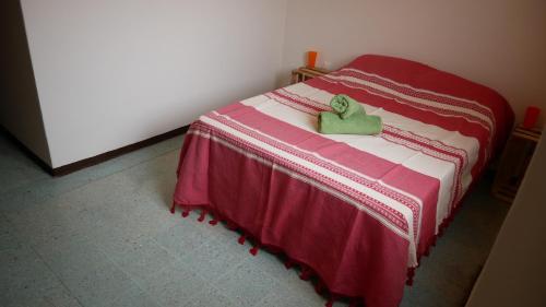 Фотография мини отеля Casa EL Mundo