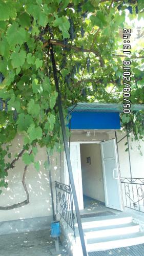 Фотография хостела Office