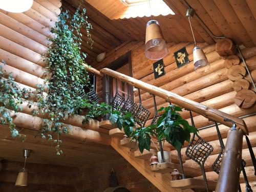 Фотографии гостевого дома
Гостевой дом Капаново