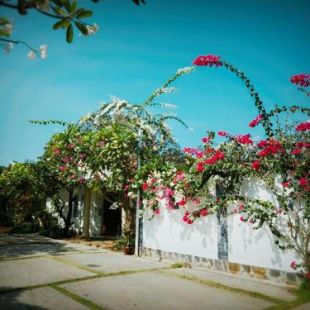 Фотография гостиницы La Vita Hotel