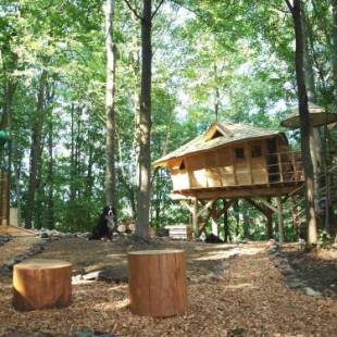 Фотографии базы отдыха
Treehouses Sněžník