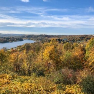 Фотография гостиницы Pension Heimliche Liebe