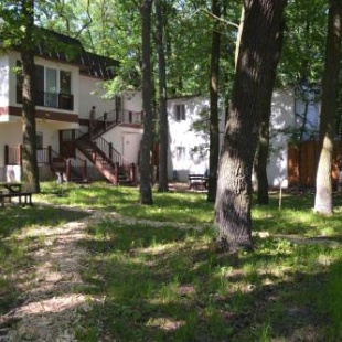 Фотография гостиницы Золотой пляж