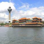 Фотография гостиницы New Ocean Paradise Hotel