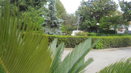 Фотография гостиницы Hotel Diana