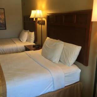 Фотографии гостиницы 
            Docker's Inn