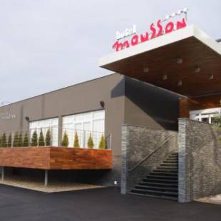 Фотографии гостиницы 
            Hotel Mousson