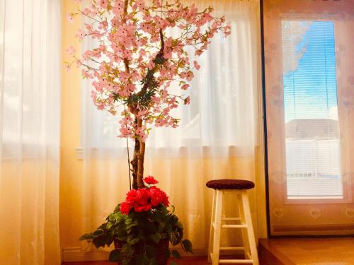 Фотография мини отеля Good location