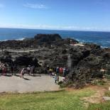 Фотография мини отеля Sea Whispers