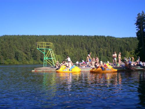 Фотографии гостиницы
Кедровый бор