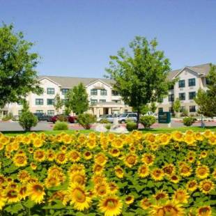Фотографии гостиницы
Extended Stay America Suites - Reno - South Meadows