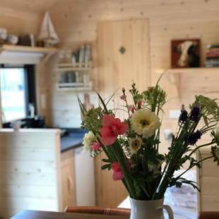 Фотографии гостевого дома 
            Little Lighthouse Texel