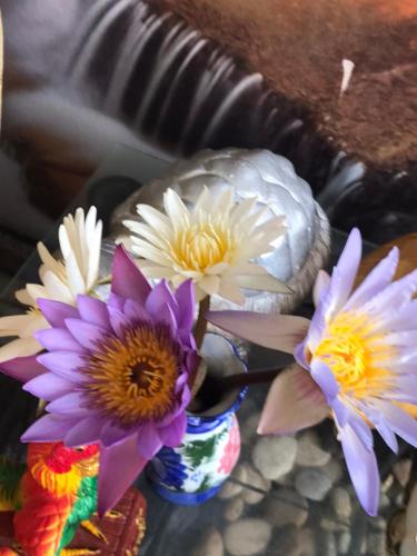 Фотография гостиницы Diamond Resort