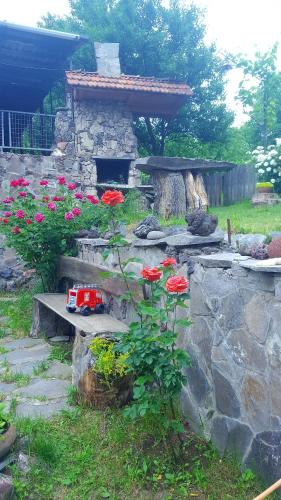 Фотография мини отеля SAMI DZMA