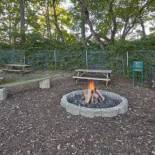 Фотография гостиницы Homewood Suites by Hilton Indianapolis At The Crossing