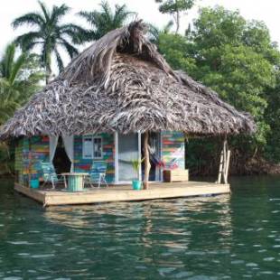 Фотографии мини отеля 
            El Toucan Loco floating lodge