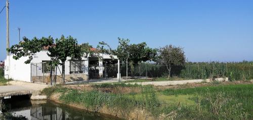 Фотография гостевого дома Casa Rous-Riumar 1