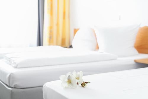 Фотография гостиницы Hotel Ambiente