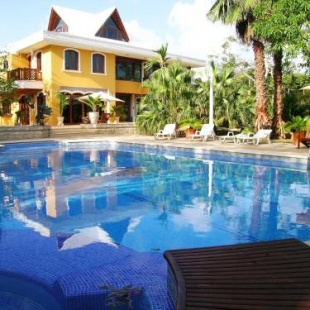 Фотография гостиницы Casa Las Palmas Hotel Boutique