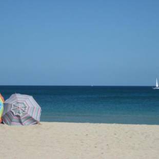 Фотографии гостиницы
Hampton Inn & Suites Boynton Beach