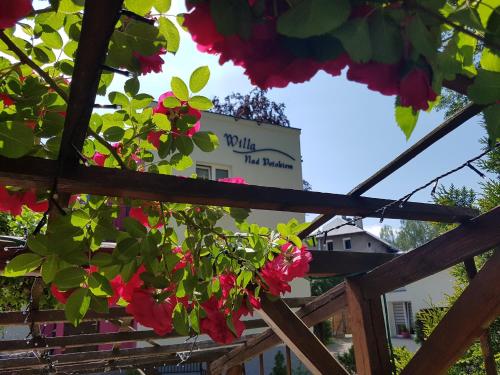 Фотография гостевого дома Willa Nad Potokiem