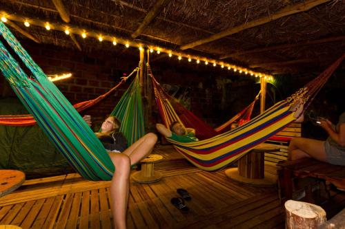 Фотография хостела Traveler Hostel