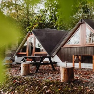 Фотография гостевого дома Tropical - In the Woods