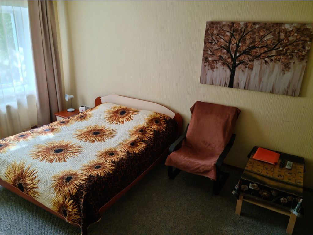 Фотография квартиры Квартира Однокомнатная Переулок Красный 8