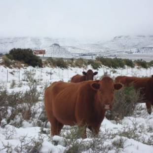 Фотографии гостевого дома
Carlton Heights Guesthouse