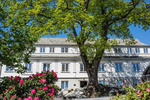 Фотография гостиницы Verkshotellet Jørpeland