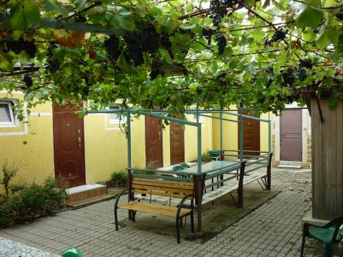 Фотография гостевого дома Ксения