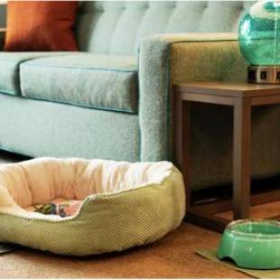 Фотографии гостиницы
Home2 Suites By Hilton Alpharetta, Ga