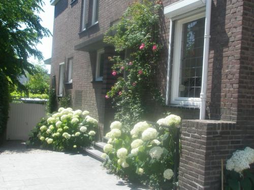 Фотография мини отеля Alberti Bed & Bike