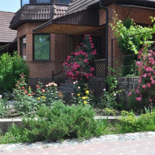 Фотография гостевого дома Эдельвейс