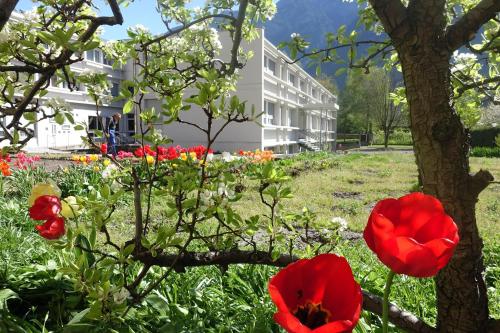 Фотография гостиницы Hôtellerie Franciscaine